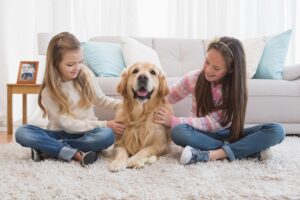 Smiling sisters petting their golden retriever on rug at home in the living room